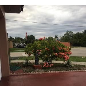 Meet your Posher, Damara